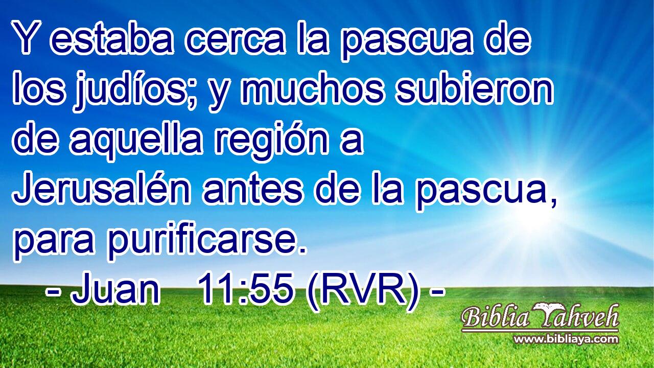 Y estaba cerca la pascua de los judíos; y muchos subieron de aquella región a Jerusalén antes de la pascua, para purificarse.