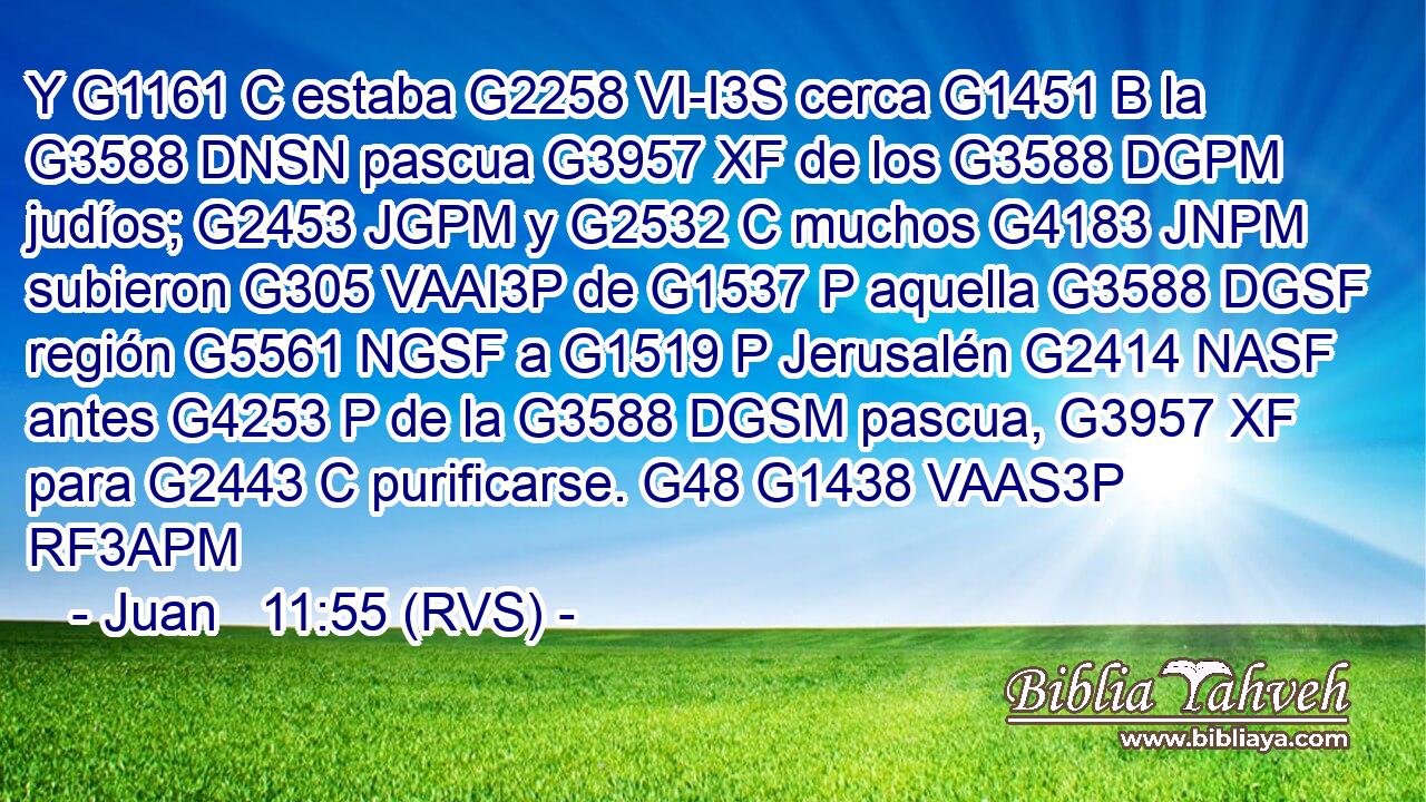 Y G1161 C estaba G2258 VI-I3S cerca G1451 B la G3588 DNSN pascua G3957 XF de los G3588 DGPM judíos; G2453 JGPM y G2532 C muchos G4183 JNPM subieron G305 VAAI3P de G1537 P aquella G3588 DGSF región G5561 NGSF a G1519 P Jerusalén G2414 NASF antes G4253 P de la G3588 DGSM pascua, G3957 XF para G2443 C purificarse. G48 G1438 VAAS3P RF3APM 