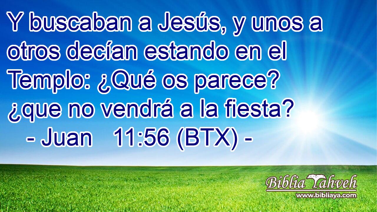 Y buscaban a Jesús, y unos a otros decían estando en el Templo: ¿Qué os parece? ¿que no vendrá a la fiesta?