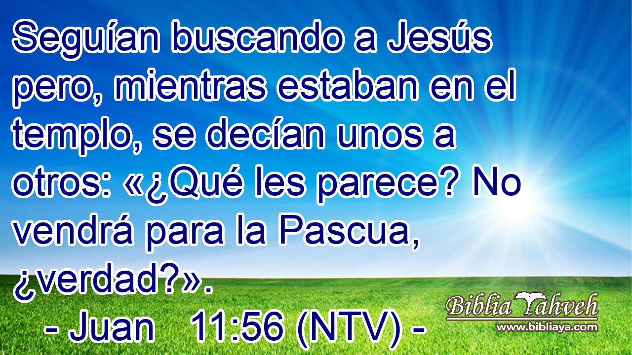 Seguían buscando a Jesús pero, mientras estaban en el templo, se decían unos a otros: «¿Qué les parece? No vendrá para la Pascua, ¿verdad?».