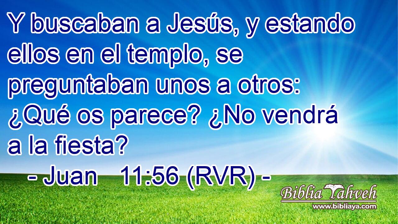Y buscaban a Jesús, y estando ellos en el templo, se preguntaban unos a otros: ¿Qué os parece? ¿No vendrá a la fiesta?