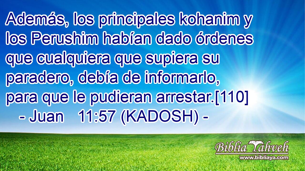  Además, los principales kohanim y los Perushim habían dado órdenes que cualquiera que supiera su paradero, debía de informarlo, para que le pudieran arrestar.[110] 