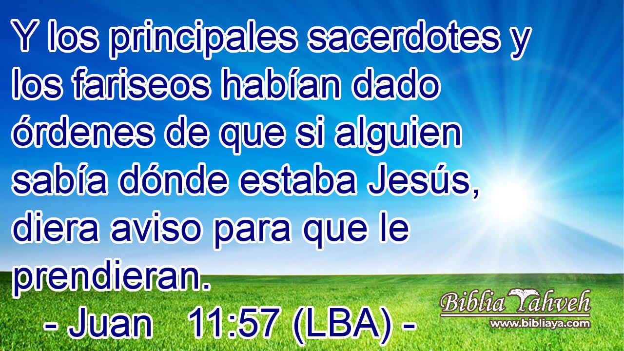 Y los principales sacerdotes y los fariseos habían dado órdenes de que si alguien sabía dónde estaba Jesús, diera aviso para que le prendieran.
