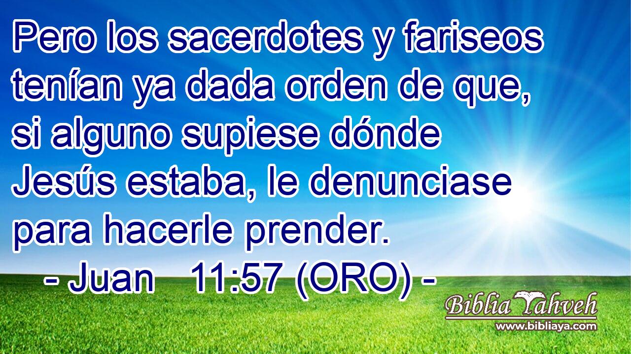  Pero los sacerdotes y fariseos tenían ya dada orden de que, si alguno supiese dónde Jesús estaba, le denunciase para hacerle prender. 