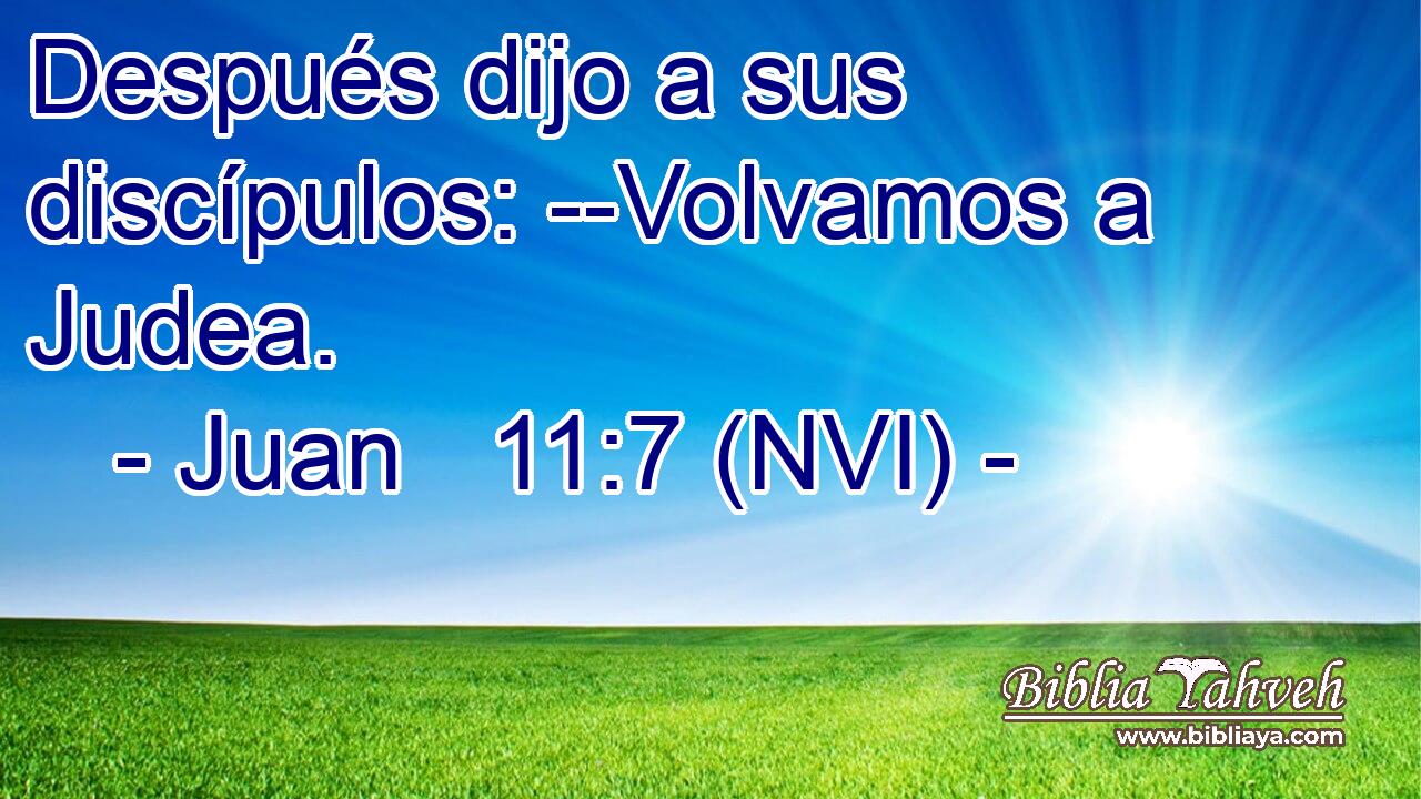  Después dijo a sus discípulos: --Volvamos a Judea. 