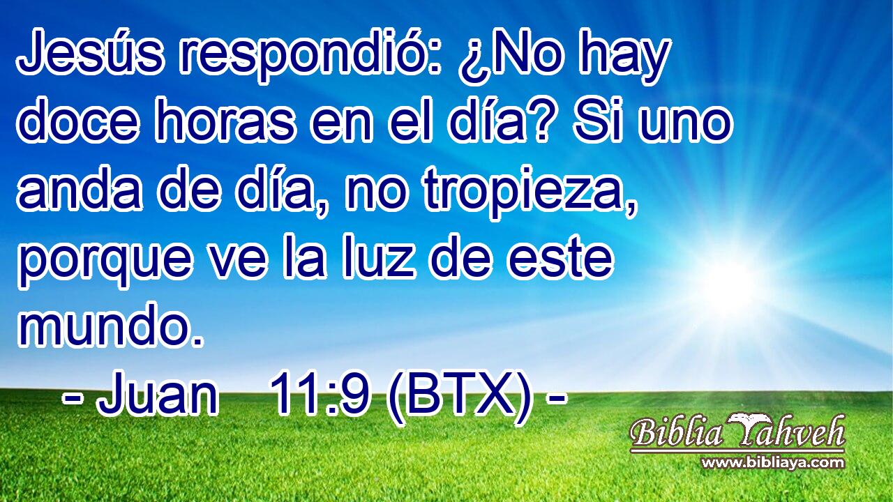Jesús respondió: ¿No hay doce horas en el día? Si uno anda de día, no tropieza, porque ve la luz de este mundo.