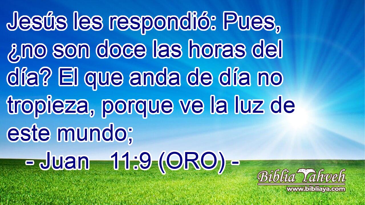  Jesús les respondió: Pues, ¿no son doce las horas del día? El que anda de día no tropieza, porque ve la luz de este mundo; 