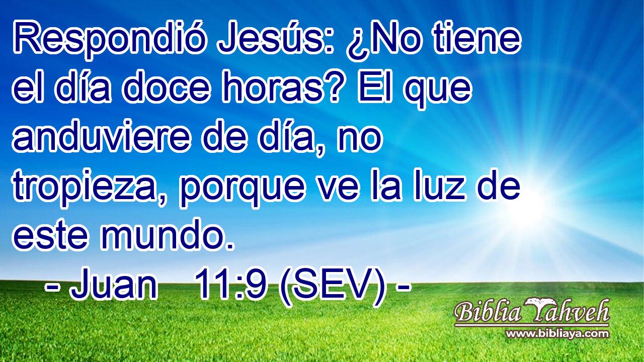 Respondió Jesús: ¿No tiene el día doce horas? El que anduviere de día, no tropieza, porque ve la luz de este mundo.