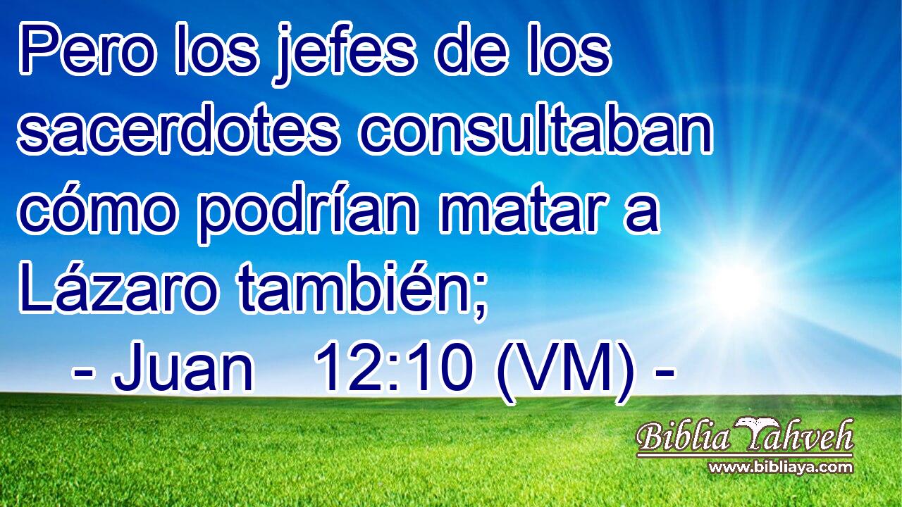  Pero los jefes de los sacerdotes consultaban cómo podrían matar a Lázaro también; 