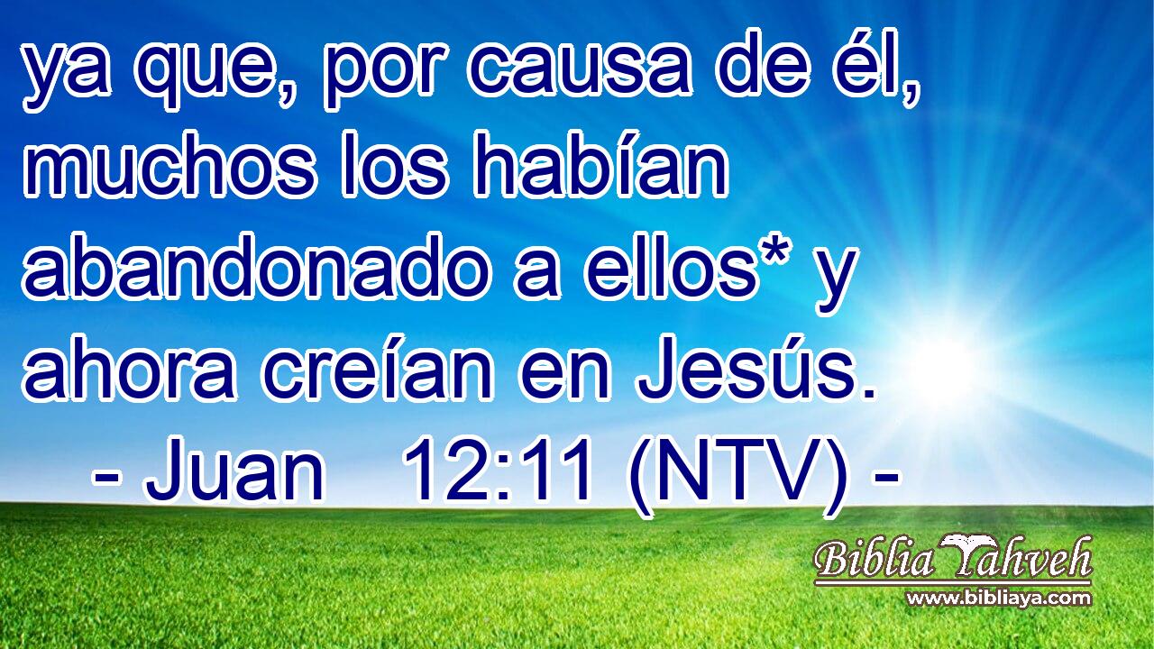 ya que, por causa de él, muchos los habían abandonado a ellos* y ahora creían en Jesús.