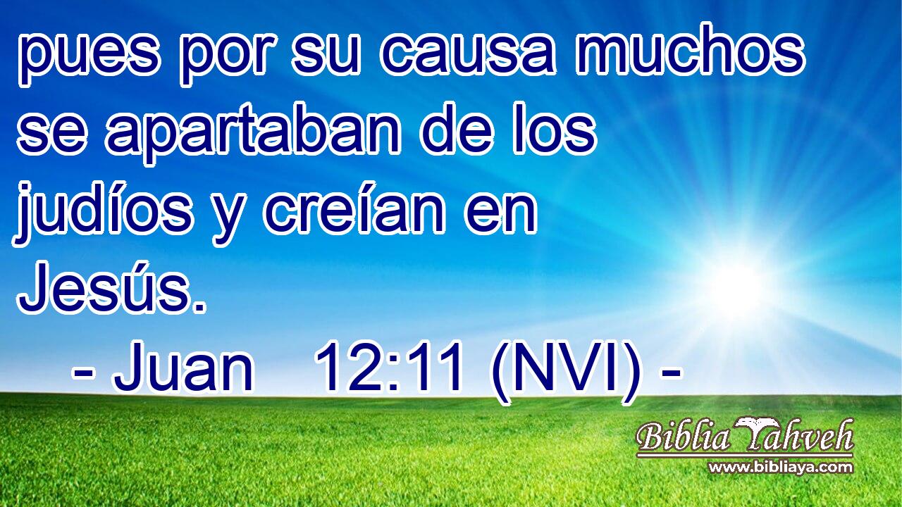  pues por su causa muchos se apartaban de los judíos y creían en Jesús. 