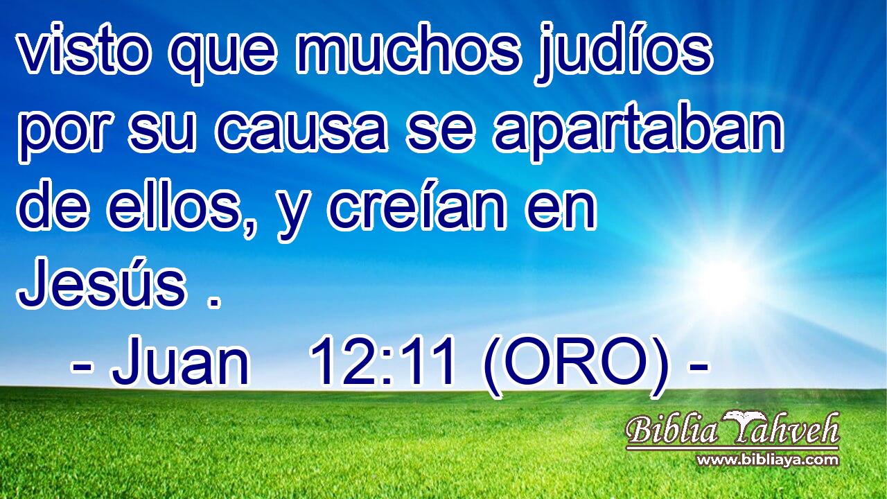  visto que muchos judíos por su causa se apartaban de ellos, y creían en Jesús .