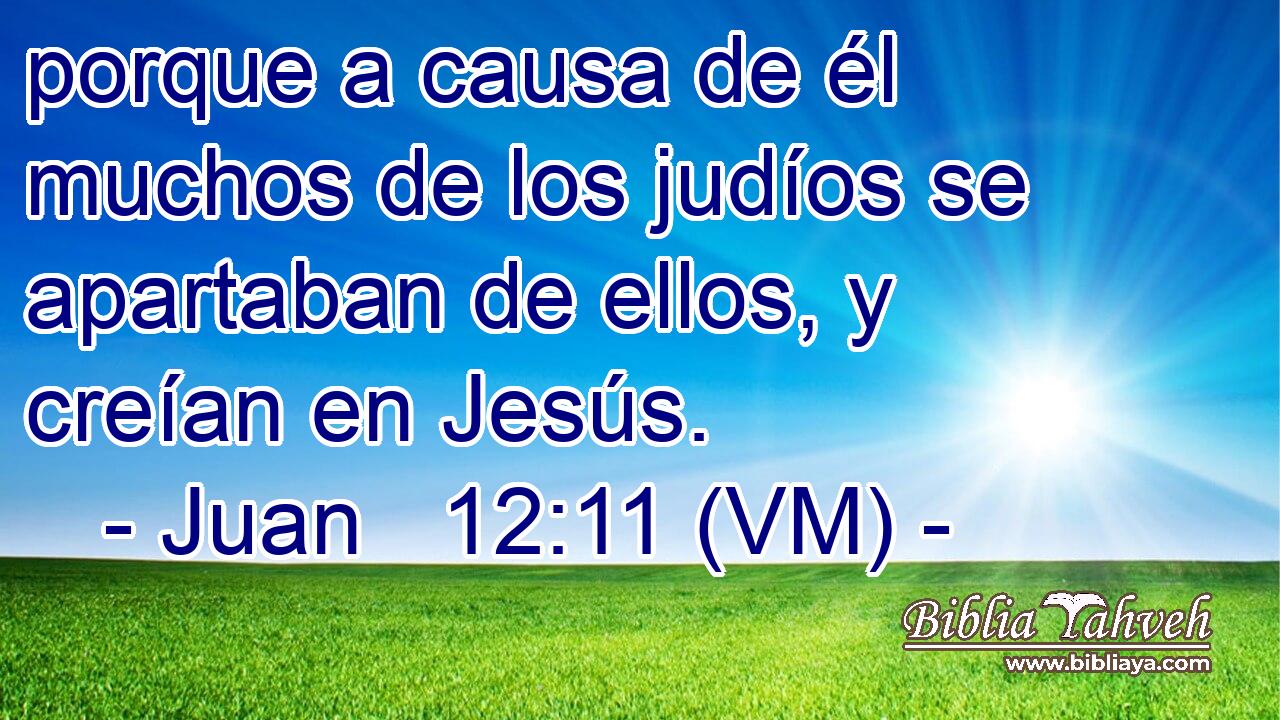  porque a causa de él muchos de los judíos se apartaban de ellos, y creían en Jesús. 