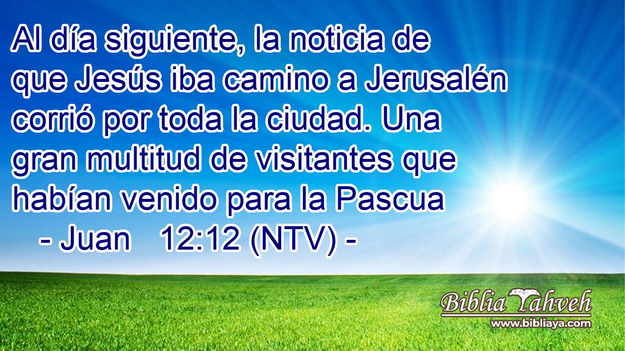 Al día siguiente, la noticia de que Jesús iba camino a Jerusalén corrió por toda la ciudad. Una gran multitud de visitantes que habían venido para la Pascua