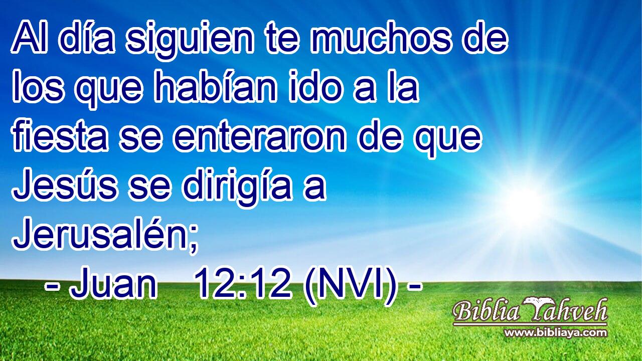  Al día siguien te muchos de los que habían ido a la fiesta se enteraron de que Jesús se dirigía a Jerusalén; 