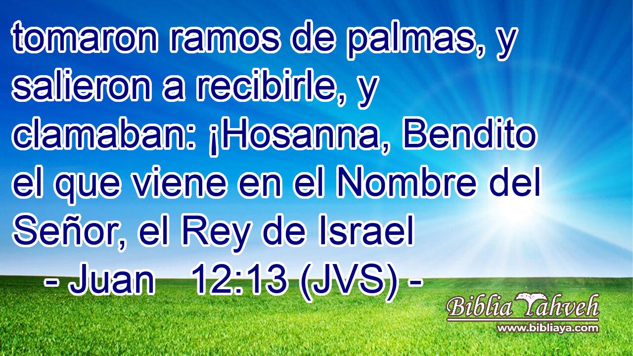 tomaron ramos de palmas, y salieron a recibirle, y clamaban: ¡Hosanna, Bendito el que viene en el Nombre del Señor, el Rey de Israel