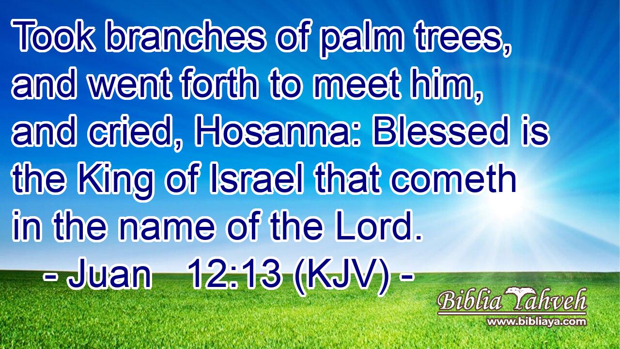 Took branches of palm trees, and went forth to meet him, and cried, Hosanna: Blessed is the King of Israel that cometh in the name of the Lord.