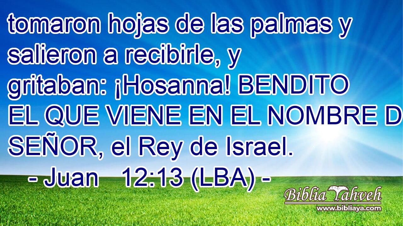 tomaron hojas de las palmas y salieron a recibirle, y gritaban: ¡Hosanna! BENDITO EL QUE VIENE EN EL NOMBRE DEL SEÑOR, el Rey de Israel.