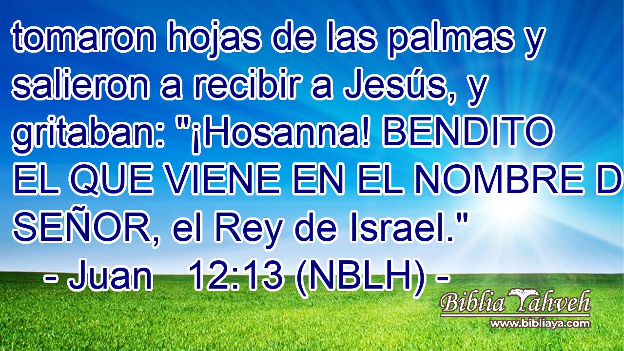  tomaron hojas de las palmas y salieron a recibir a Jesús, y gritaban: 