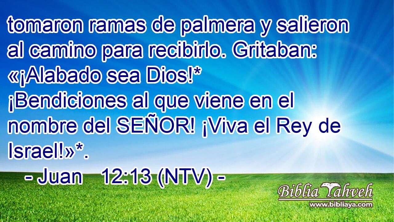 tomaron ramas de palmera y salieron al camino para recibirlo. Gritaban: «¡Alabado sea Dios!* ¡Bendiciones al que viene en el nombre del SEÑOR! ¡Viva el Rey de Israel!»*.