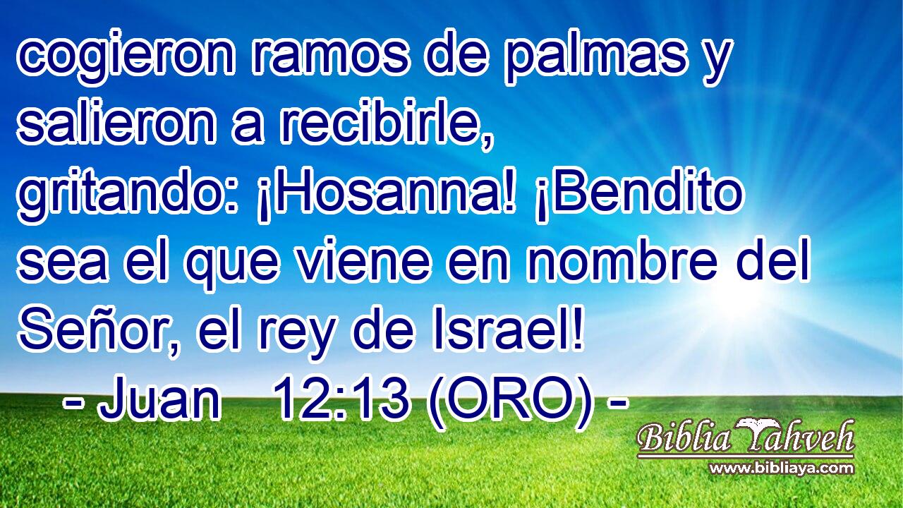  cogieron ramos de palmas y salieron a recibirle, gritando: ¡Hosanna! ¡Bendito sea el que viene en nombre del Señor, el rey de Israel! 