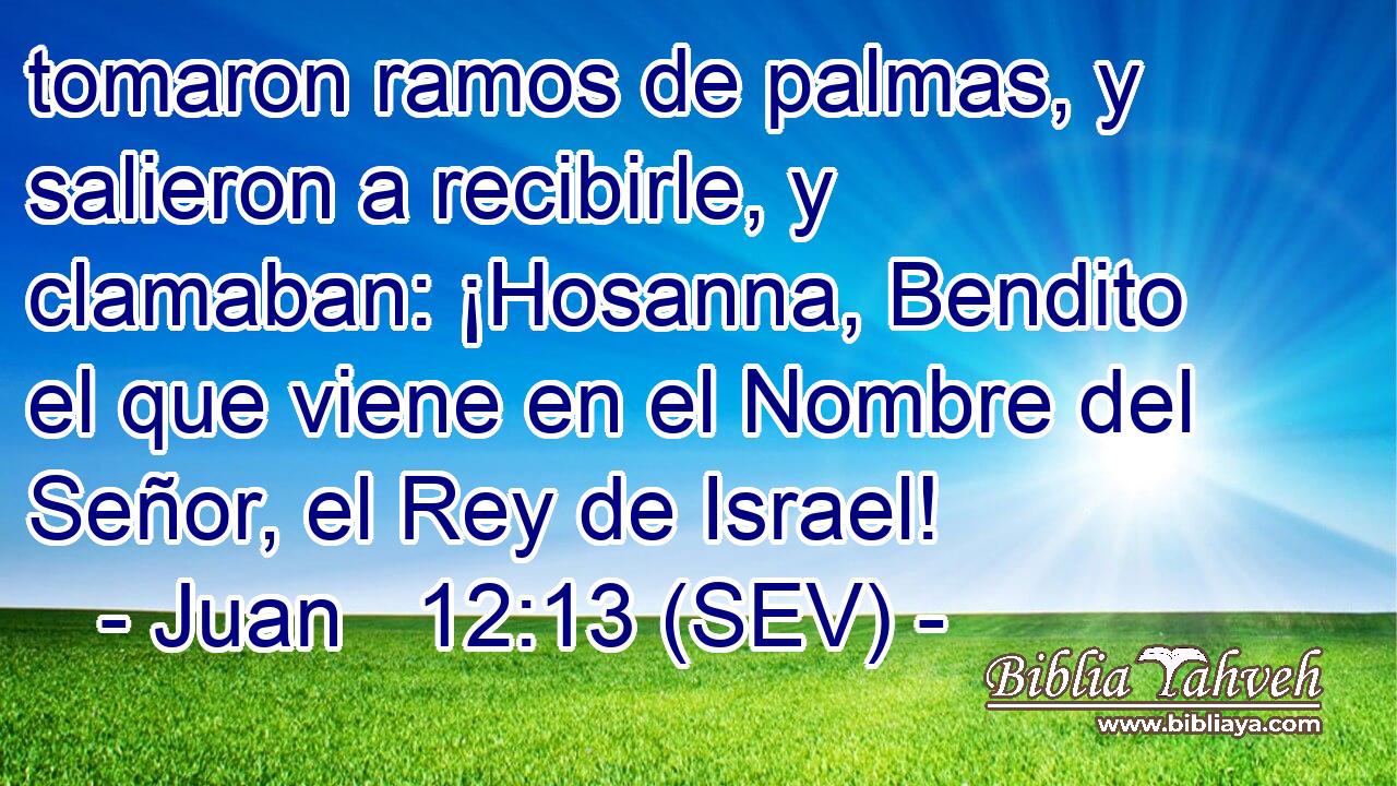 tomaron ramos de palmas, y salieron a recibirle, y clamaban: ¡Hosanna, Bendito el que viene en el Nombre del Señor, el Rey de Israel!