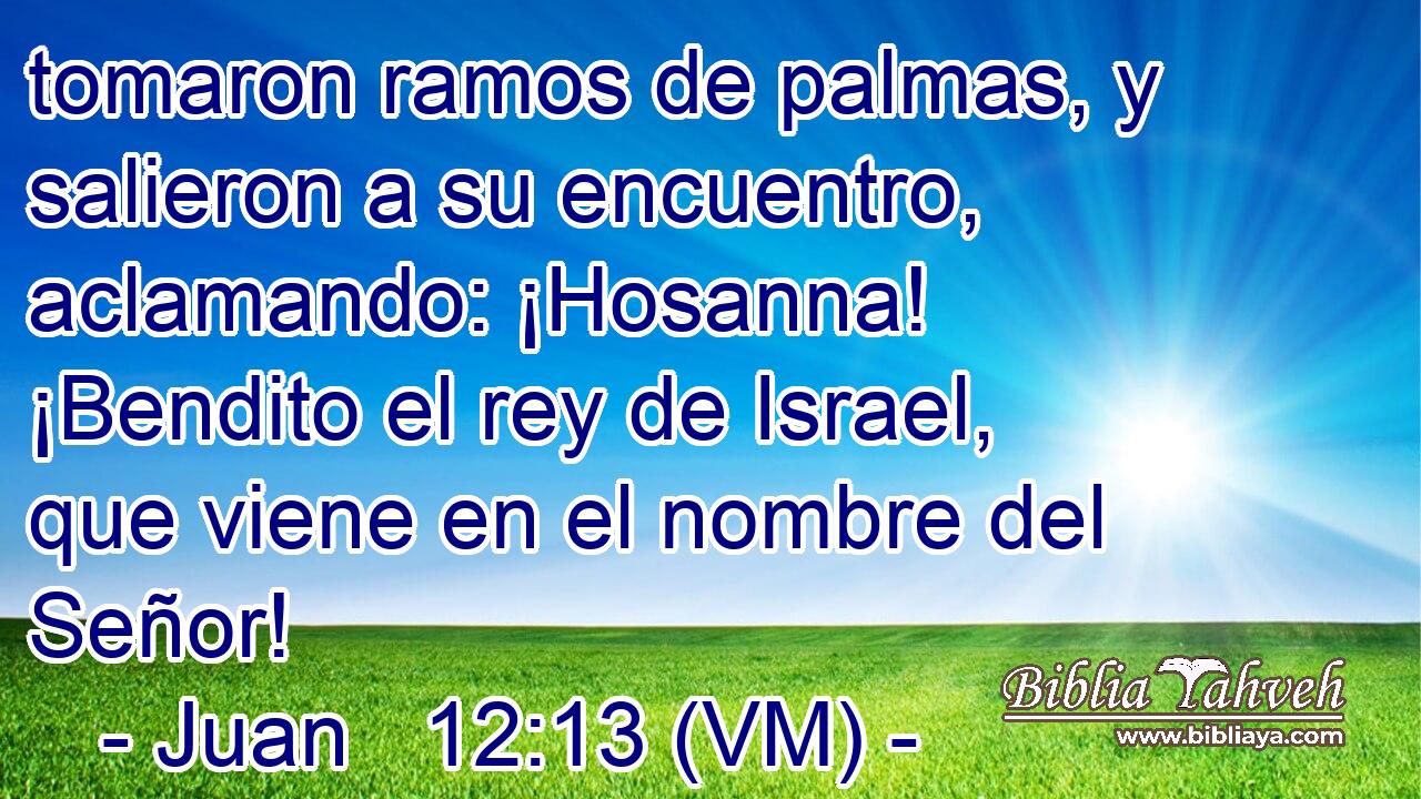  tomaron ramos de palmas, y salieron a su encuentro, aclamando: ¡Hosanna! ¡Bendito el rey de Israel, que viene en el nombre del Señor! 