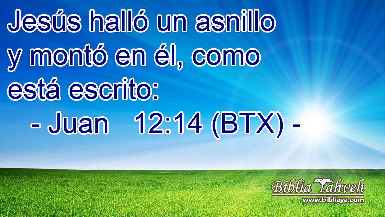 Jesús halló un asnillo y montó en él, como está escrito:
