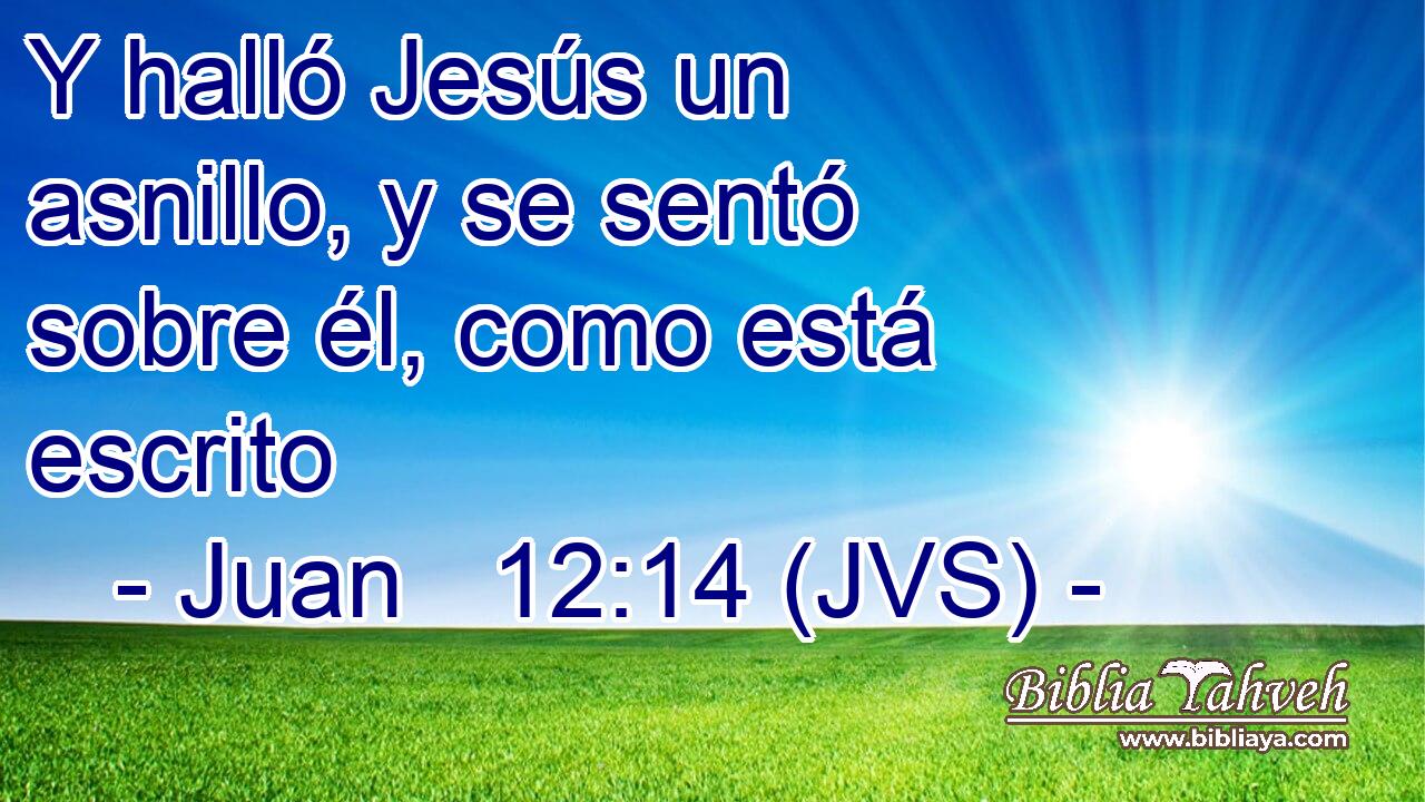 Y halló Jesús un asnillo, y se sentó sobre él, como está escrito