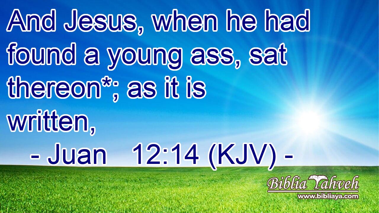 And Jesus, when he had found a young ass, sat thereon*; as it is written,