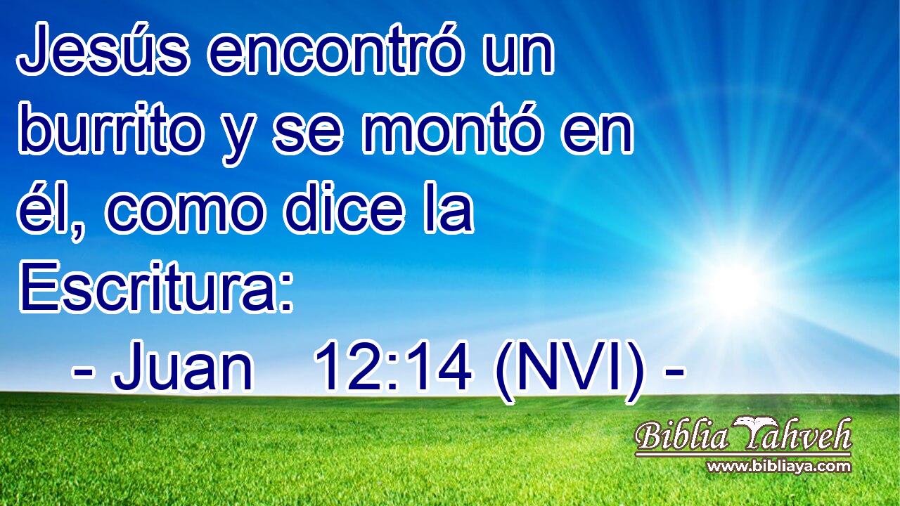  Jesús encontró un burrito y se montó en él, como dice la Escritura: 