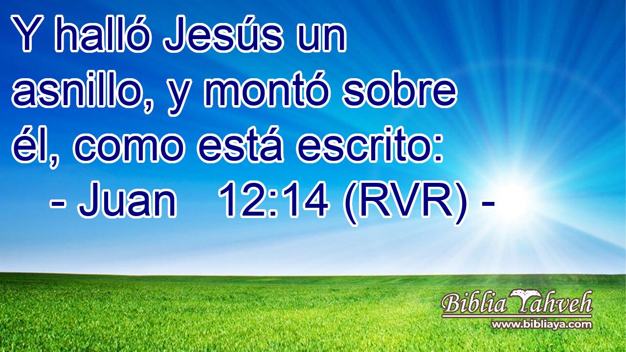 Y halló Jesús un asnillo, y montó sobre él, como está escrito: