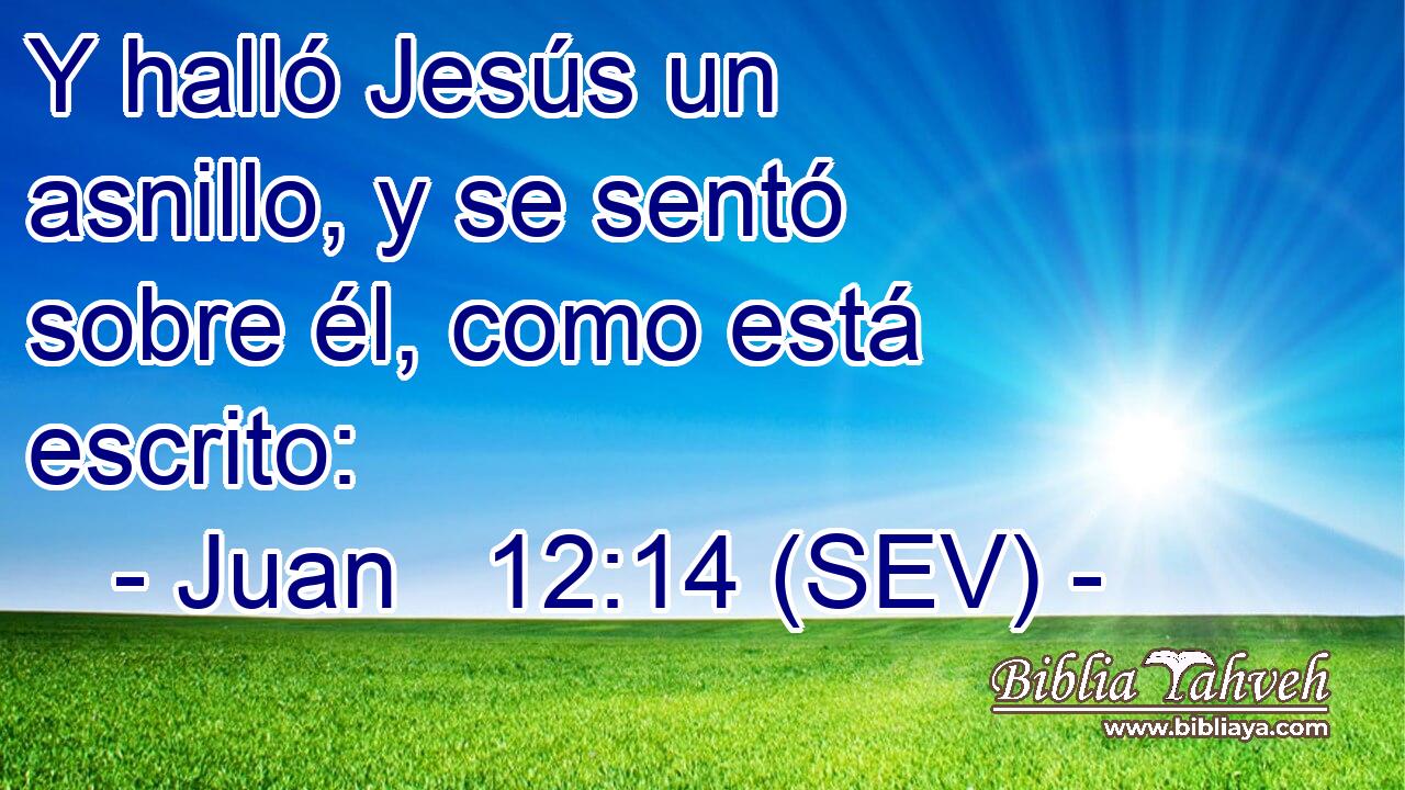 Y halló Jesús un asnillo, y se sentó sobre él, como está escrito: