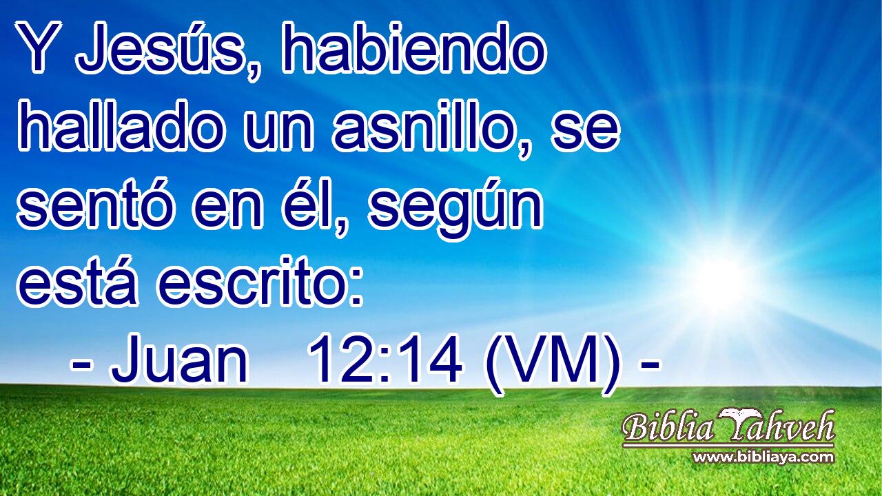  Y Jesús, habiendo hallado un asnillo, se sentó en él, según está escrito: 