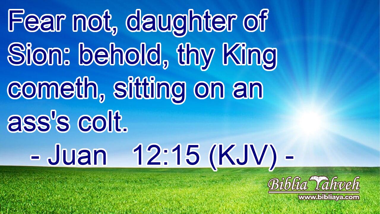 Fear not, daughter of Sion: behold, thy King cometh, sitting on an ass's colt.