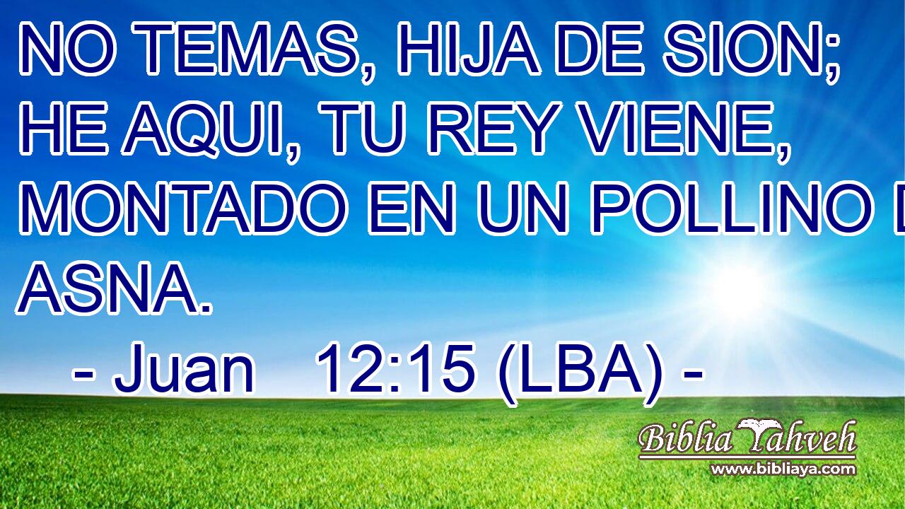 NO TEMAS, HIJA DE SION; HE AQUI, TU REY VIENE, MONTADO EN UN POLLINO DE ASNA.