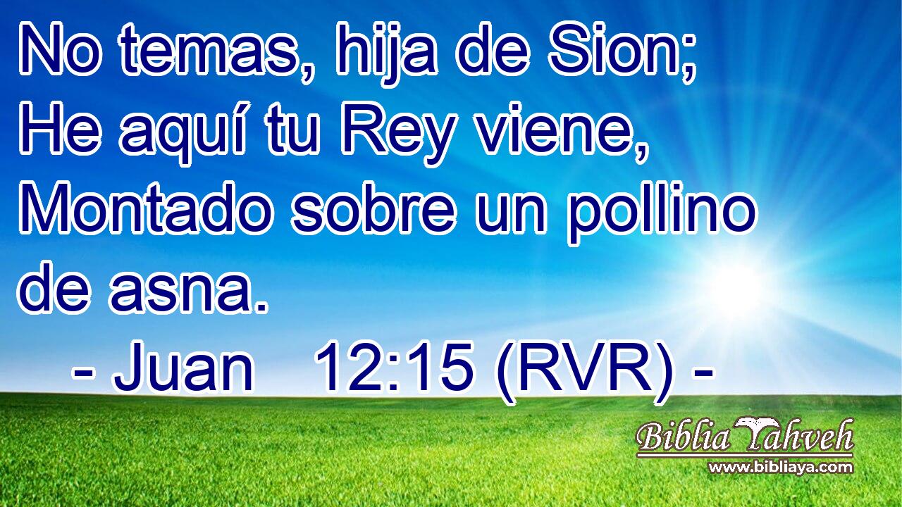 No temas, hija de Sion; He aquí tu Rey viene, Montado sobre un pollino de asna.