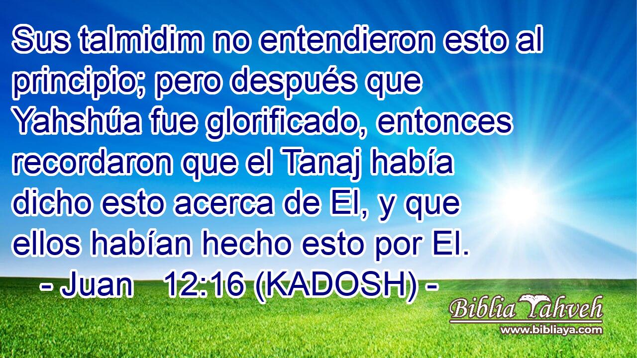  Sus talmidim no entendieron esto al principio; pero después que Yahshúa fue glorificado, entonces recordaron que el Tanaj había dicho esto acerca de El, y que ellos habían hecho esto por El. 