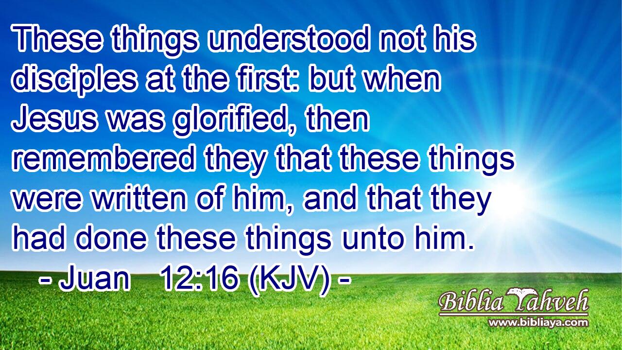 These things understood not his disciples at the first: but when Jesus was glorified, then remembered they that these things were written of him, and that they had done these things unto him.