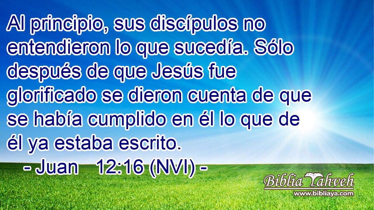  Al principio, sus discípulos no entendieron lo que sucedía. Sólo después de que Jesús fue glorificado se dieron cuenta de que se había cumplido en él lo que de él ya estaba escrito. 