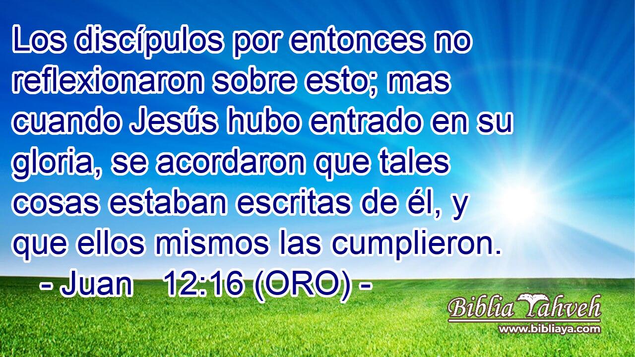  Los discípulos por entonces no reflexionaron sobre esto; mas cuando Jesús hubo entrado en su gloria, se acordaron que tales cosas estaban escritas de él, y que ellos mismos las cumplieron. 