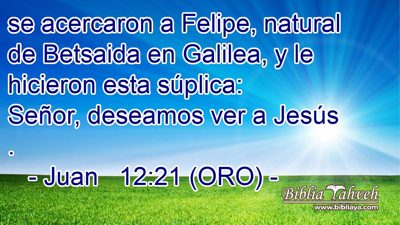  se acercaron a Felipe, natural de Betsaida en Galilea, y le hicieron esta súplica: Señor, deseamos ver a Jesús . 
