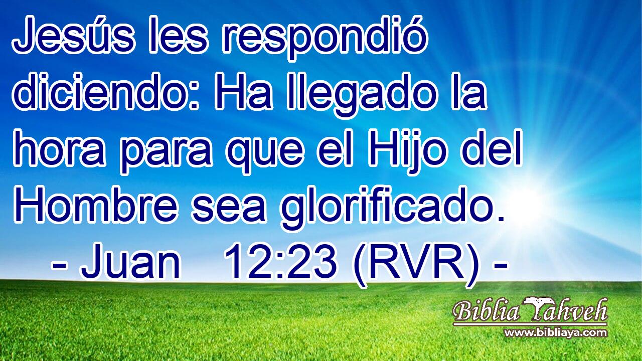 Jesús les respondió diciendo: Ha llegado la hora para que el Hijo del Hombre sea glorificado.