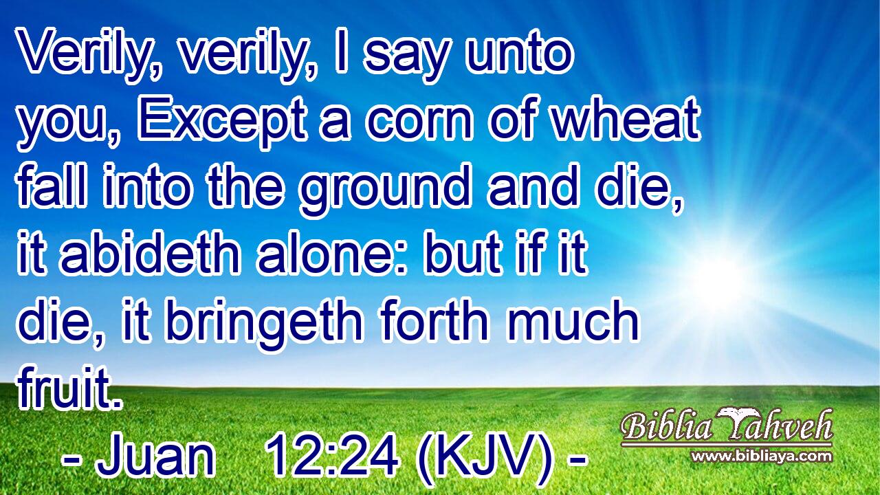Verily, verily, I say unto you, Except a corn of wheat fall into the ground and die, it abideth alone: but if it die, it bringeth forth much fruit.