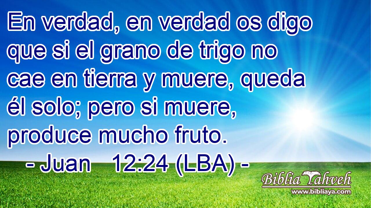 En verdad, en verdad os digo que si el grano de trigo no cae en tierra y muere, queda él solo; pero si muere, produce mucho fruto.