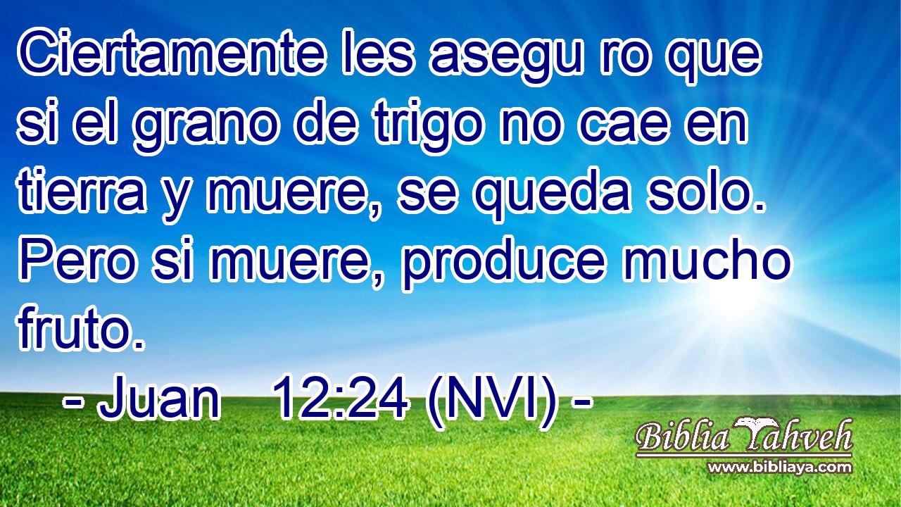  Ciertamente les asegu ro que si el grano de trigo no cae en tierra y muere, se queda solo. Pero si muere, produce mucho fruto. 