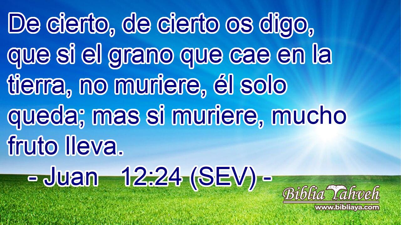 De cierto, de cierto os digo, que si el grano que cae en la tierra, no muriere, él solo queda; mas si muriere, mucho fruto lleva.