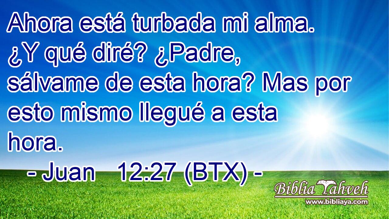 Ahora está turbada mi alma. ¿Y qué diré? ¿Padre, sálvame de esta hora? Mas por esto mismo llegué a esta hora.