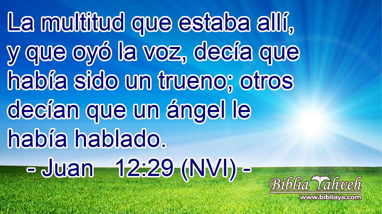  La multitud que estaba allí, y que oyó la voz, decía que había sido un trueno; otros decían que un ángel le había hablado. 