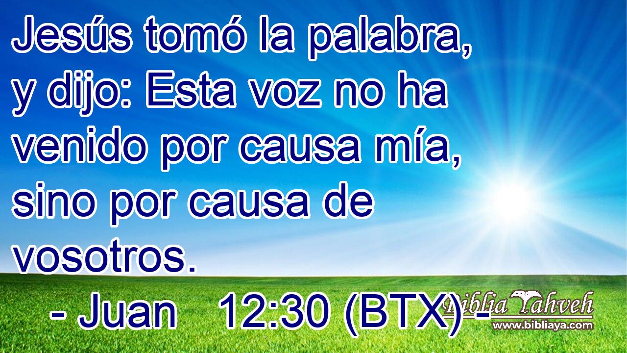 Jesús tomó la palabra, y dijo: Esta voz no ha venido por causa mía, sino por causa de vosotros.
